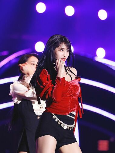 Momo (모모)